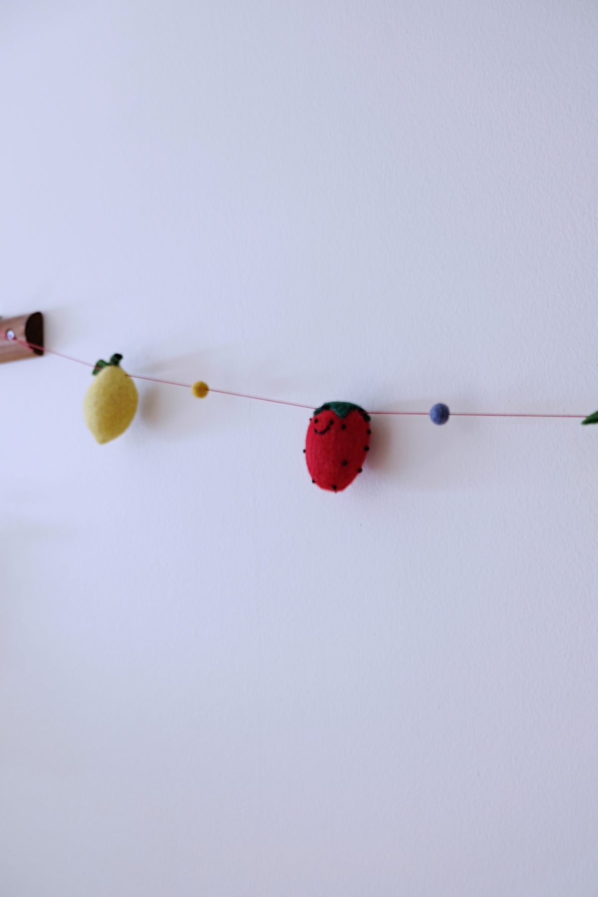 Beets and Carrots Garland
