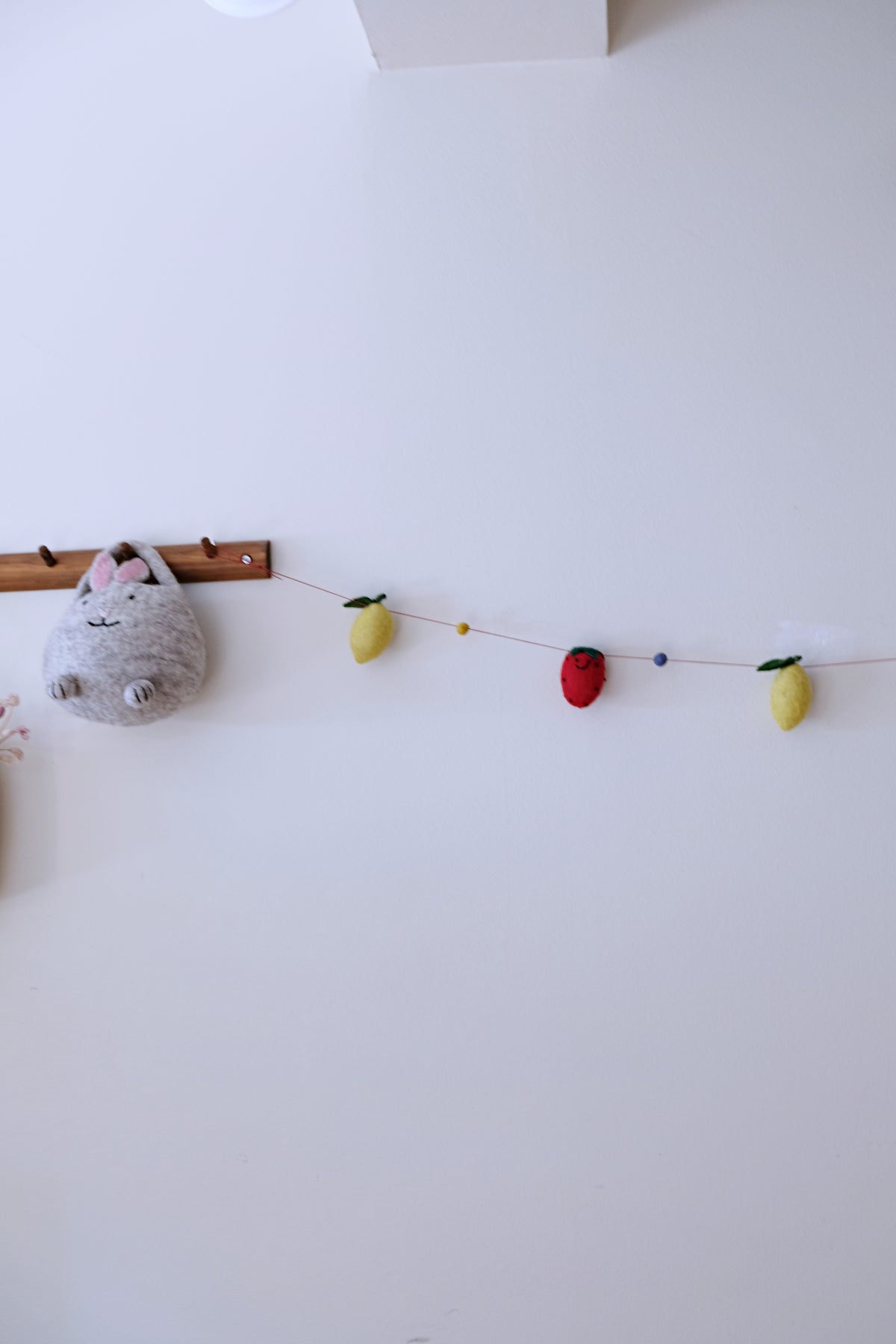 Beets and Carrots Garland