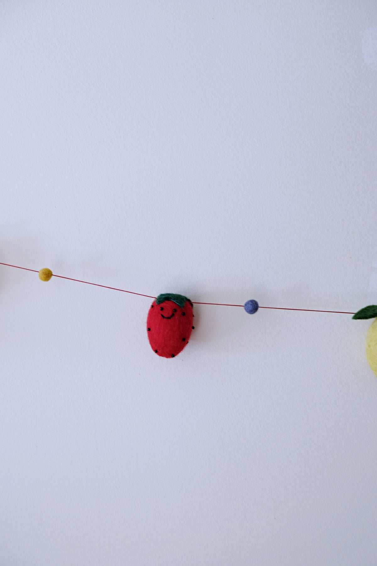 Beets and Carrots Garland